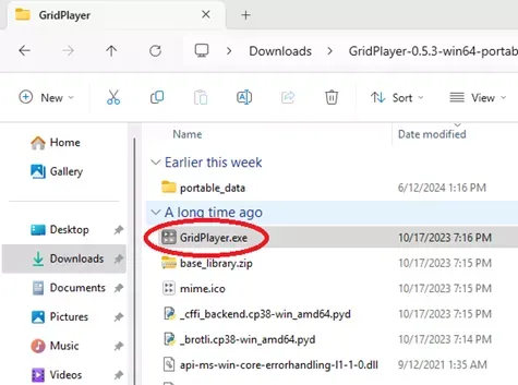 GridPlayer EXE